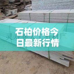 石柏價格今日最新行情動態