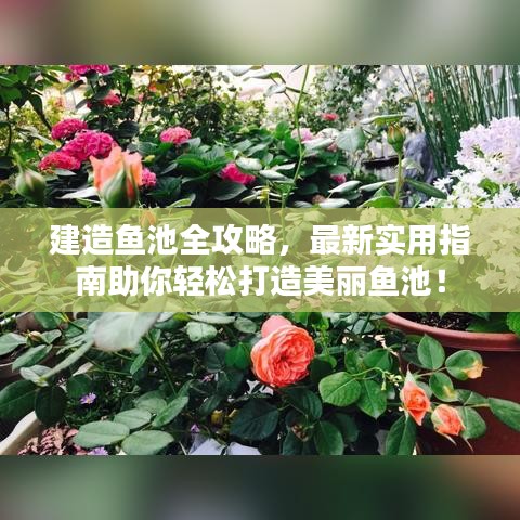 建造魚池全攻略，最新實用指南助你輕松打造美麗魚池！