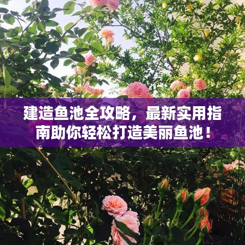 建造魚池全攻略,最新實用指南助你輕松打造美麗魚池!