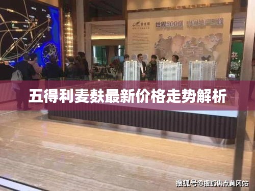 五得利麥麩最新價格走勢解析