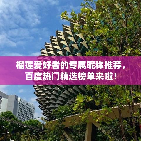 榴蓮愛好者的專屬昵稱推薦，百度熱門精選榜單來啦！