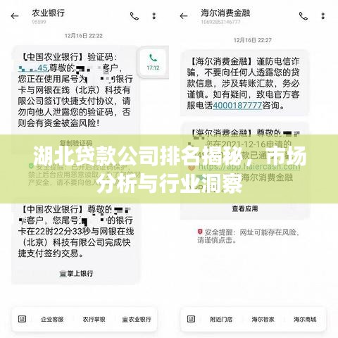 湖北貸款公司排名揭秘,市場分析與行業洞察