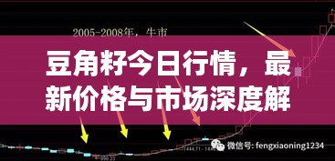 豆角籽今日行情，最新價格與市場深度解析
