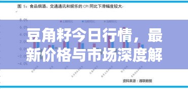 豆角籽今日行情,最新價格與市場深度解析