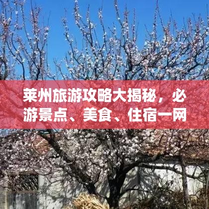 萊州旅游攻略大揭秘,必游景點、美食、住宿一網打盡!