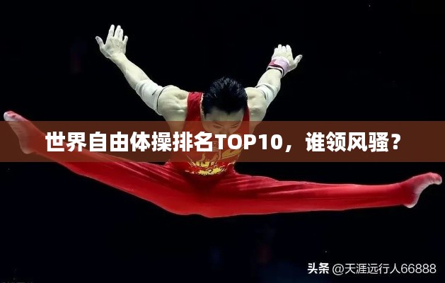 世界自由體操排名TOP10,誰領風騷?