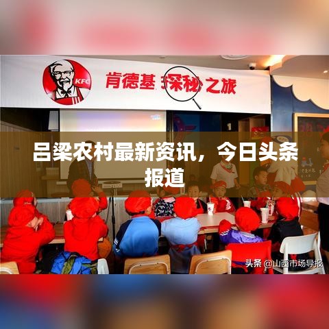 呂梁農村最新資訊，今日頭條報道