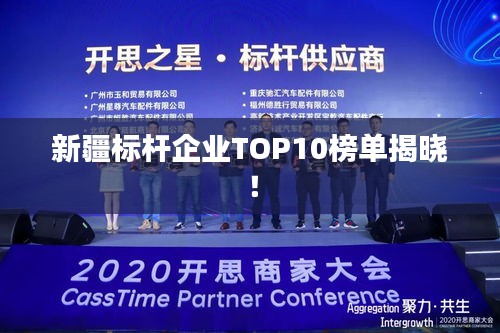 新疆標(biāo)桿企業(yè)TOP10榜單揭曉!