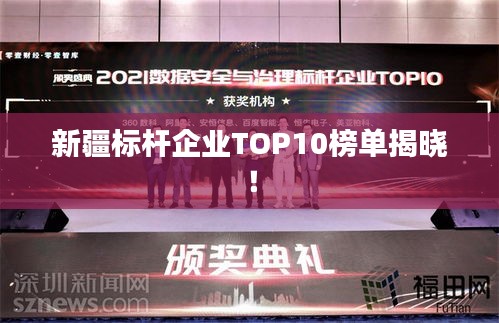 新疆標桿企業TOP10榜單揭曉!
