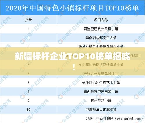 新疆標桿企業TOP10榜單揭曉!