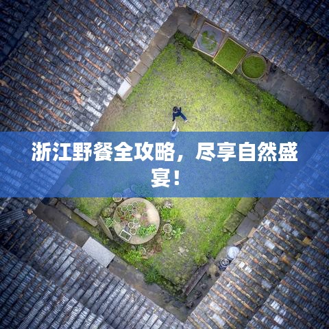 浙江野餐全攻略,盡享自然盛宴!