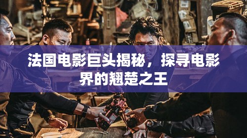 法國電影巨頭揭秘，探尋電影界的翹楚之王