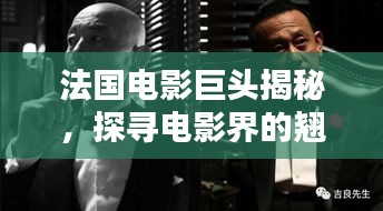 法國電影巨頭揭秘,探尋電影界的翹楚之王