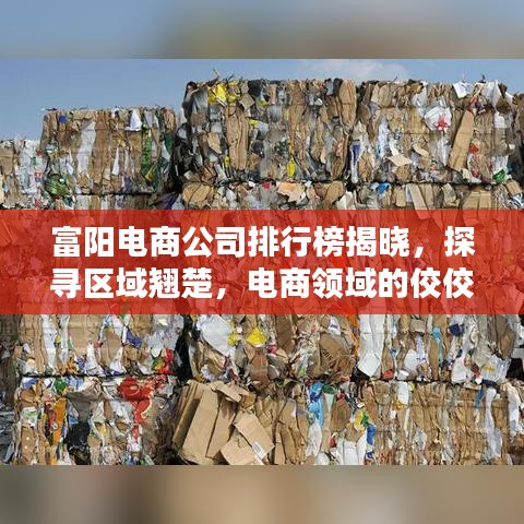 富陽電商公司排行榜揭曉,探尋區域翹楚,電商領域的佼佼者全在這!