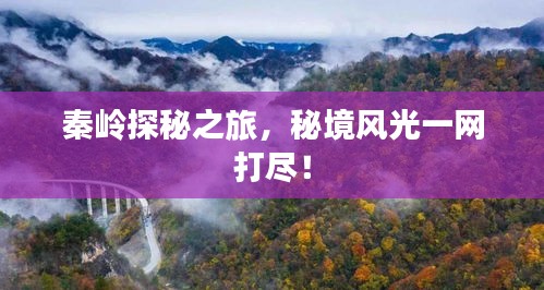 秦嶺探秘之旅,秘境風(fēng)光一網(wǎng)打盡!