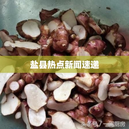 鹽縣熱點新聞速遞