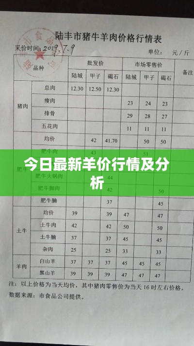 今日最新羊價行情及分析