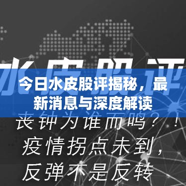 今日水皮股評揭秘，最新消息與深度解讀
