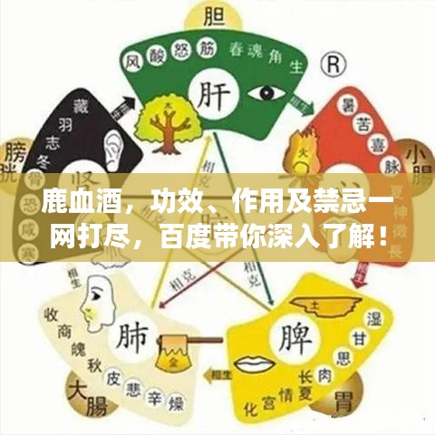 鹿血酒,功效、作用及禁忌一網(wǎng)打盡,百度帶你深入了解!