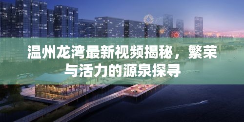 溫州龍灣最新視頻揭秘，繁榮與活力的源泉探尋