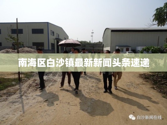 南海區白沙鎮最新新聞頭條速遞