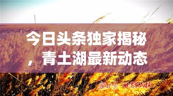 今日頭條獨家揭秘,青土湖最新動態快報