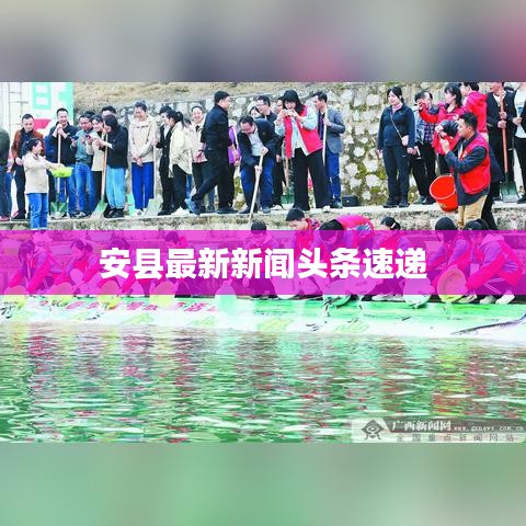 安縣最新新聞頭條速遞