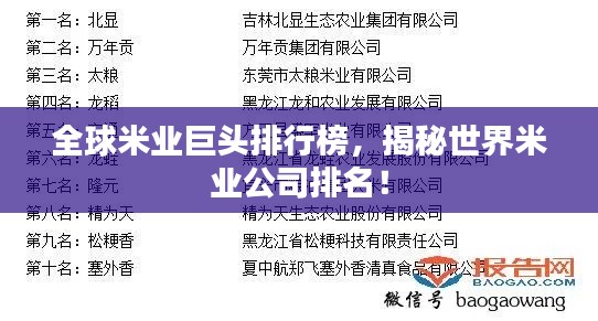 全球米業巨頭排行榜,揭秘世界米業公司排名!