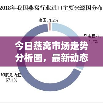 今日燕窩市場走勢分析圖，最新動態(tài)與市場前景展望