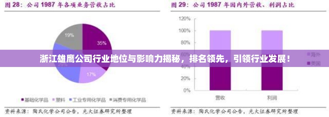 浙江雄鷹公司行業地位與影響力揭秘,排名領先,引領行業發展!