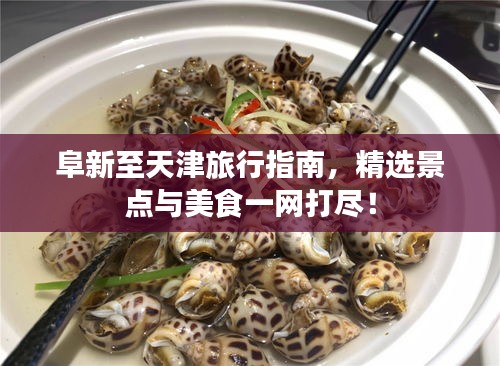 阜新至天津旅行指南,精選景點與美食一網打盡!