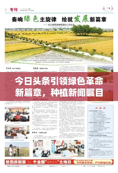今日頭條引領綠色革命新篇章,種植新聞矚目呈現