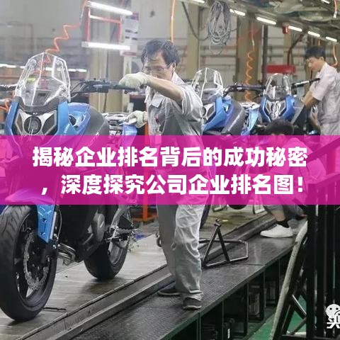 揭秘企業排名背后的成功秘密,深度探究公司企業排名圖!