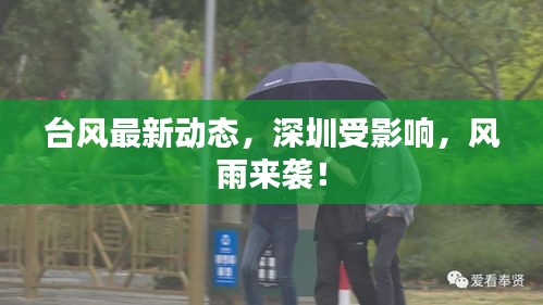 臺風最新動態，深圳受影響，風雨來襲！
