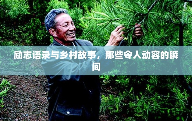 勵志語錄與鄉村故事,那些令人動容的瞬間