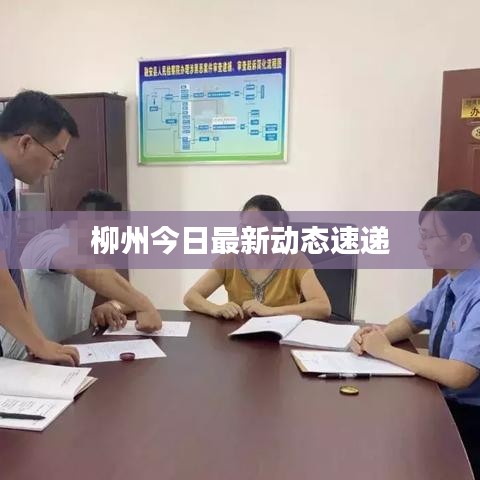 柳州今日最新動態速遞