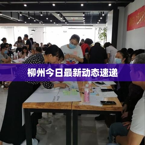 柳州今日最新動態速遞