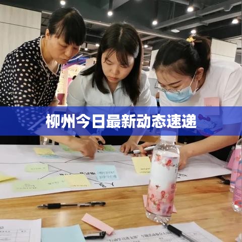 柳州今日最新動態速遞