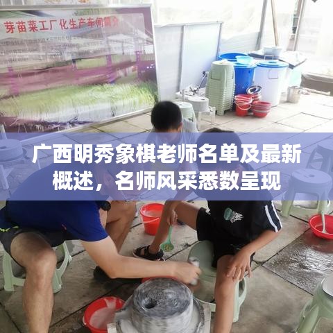 廣西明秀象棋老師名單及最新概述,名師風(fēng)采悉數(shù)呈現(xiàn)