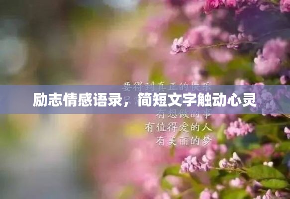 勵志情感語錄,簡短文字觸動心靈