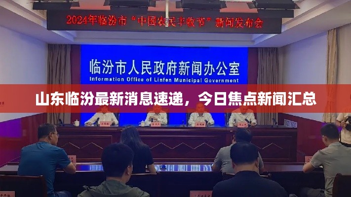 山東臨汾最新消息速遞,今日焦點新聞匯總
