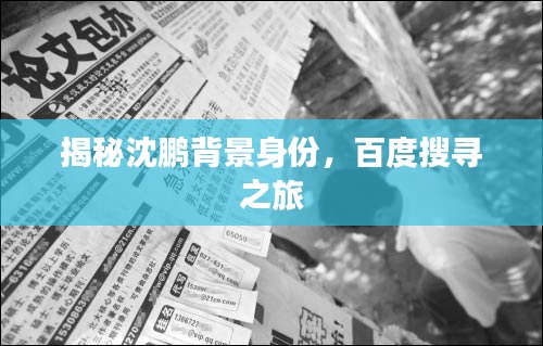 揭秘沈鵬背景身份，百度搜尋之旅