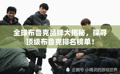 全球布魯克品牌大揭秘,探尋頂級布魯克排名榜單!