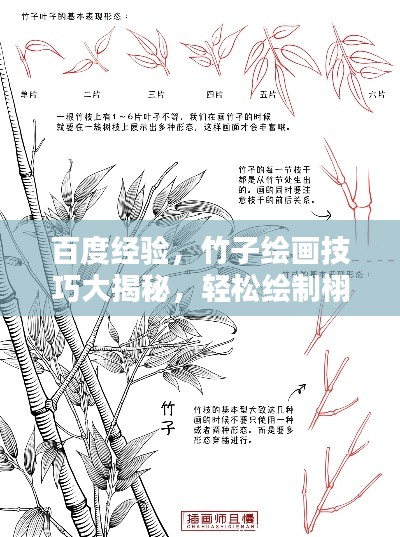 百度經驗,竹子繪畫技巧大揭秘,輕松繪制栩栩如生竹葉圖