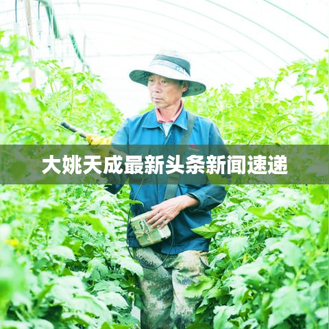 大姚天成最新頭條新聞速遞