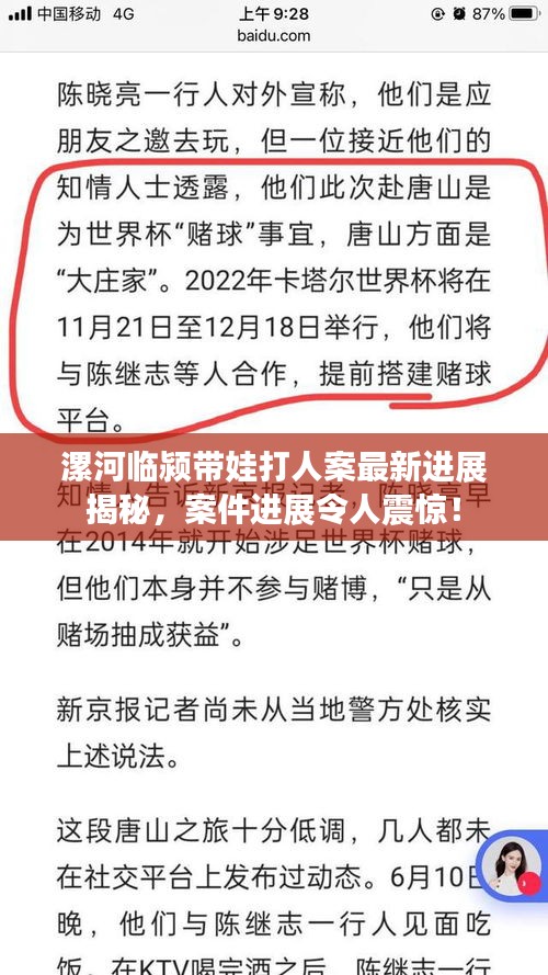 漯河臨潁帶娃打人案最新進展揭秘,案件進展令人震驚!