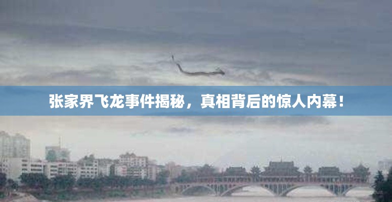 張家界飛龍事件揭秘，真相背后的驚人內(nèi)幕！