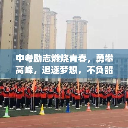 中考勵志燃燒青春,勇攀高峰,追逐夢想,不負韶華