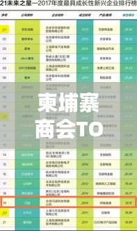 柬埔寨商會TOP10榜單揭曉,揭秘排名前十的商會!