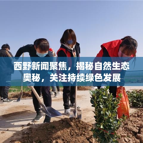 西野新聞聚焦，揭秘自然生態奧秘，關注持續綠色發展